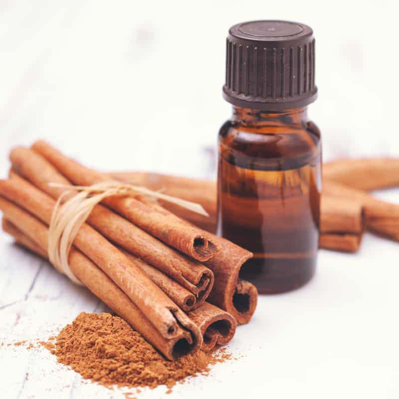 Cinnamon Essential Oil Skynbotanics